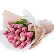 Tulip Bundle — Seaside Floral Design