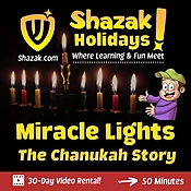 Chanukah - MIracle Lights Rental