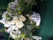 Timeless White Harmony
