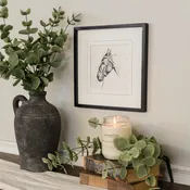 Black & White Horse Framed Print, 12x12
