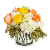 Cheery Moments by BloomNation™