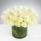 Two Dozen White Roses by BloomNation™