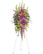 Bright and Beautiful Spray — Black Eyed Susan's Flowers & Plants