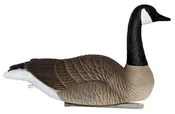 Big Honker Floater Full size Canada goose-6 Pack