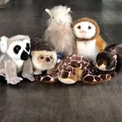 Assorted Unique Plush