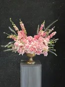 Bloom Bliss