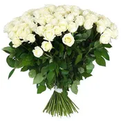 100 White long roses 70 cm Vase not included