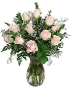 SOFT PINK DOZEN