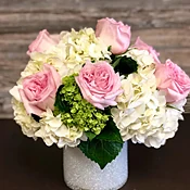A Touch of Pink