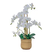 30" White Orchid Arrangement in a Large Tan Ceramic Planter | Real Touch White Moth Phalaenopsis Orchids by Fiori Sempre