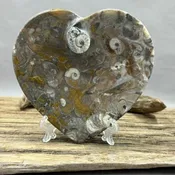 Ammonite and Fossils Heart Plate