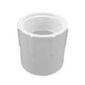 1 Inch x 1 Inch PVC Adapter (Female Pipe Thread x Slip)
