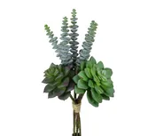 10″ Mixed Succulent Bundle