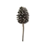 12.5" White Tip Pinecone Pick