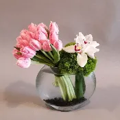 Less Is More Tulips