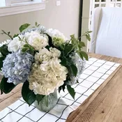 Endless Hydrangea