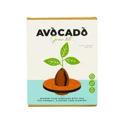 *Avocado Grow Kit