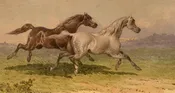 A Fast Gallop