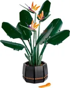 10289 - Bird of Paradise