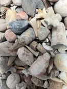 Fossil Mix- By the Pound