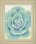 22x26 Pastel Succulent IV By Tim OToole - Light Blue