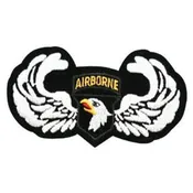 101st Airborne Wing Patch