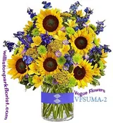 A BURST OF SUNSHINE