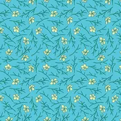 2025 LTD - Blossom Sky