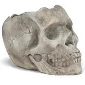 Cement Skull Planter