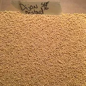 Mustard, Dijon