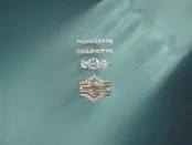 — Mist Fine Jewelry