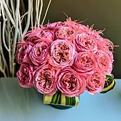 Pink Flamingos Roses    When you want whimsical and wonderful!