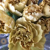 Beige/Yellow Specialty Mustard Carnations