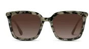 Madison Square Sunglasses by WMP Eyewear