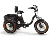Alaskan Etrike