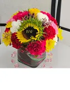 Exclusive Colorful Cube
