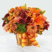 Autumn Celebration