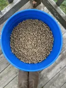 10 lbs - Fleece Nuggets — Ewetopia