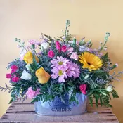 Flowers & Garden