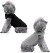 Custom Printed T-Shirts For Dogs