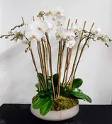 Orchid Statement Piece