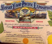 Antique 1910s-1930s Exposition Brand Lemon Crate Label 🍋 Johnston Fruit Co, Santa Barbara CA, 1909 Grand Prize Diploma