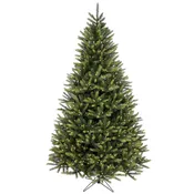 6.5′ Royal Fir