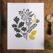 11" x 14" Autumn Plants Print