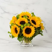 Cube of Sunflowers