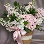 Blush Whispers