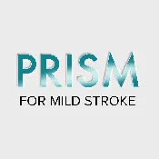 PRISM for Mild Stroke — Precision Recovery Inc