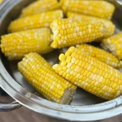 Bi-Licious F-1 Corn