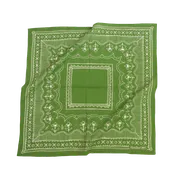 22" Patsy Bandana 507