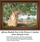 African Baobab Tree in the Princess's Garden, RE-1931